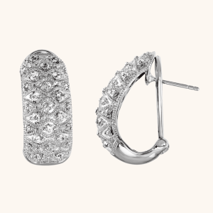 Silver Earrings For Women